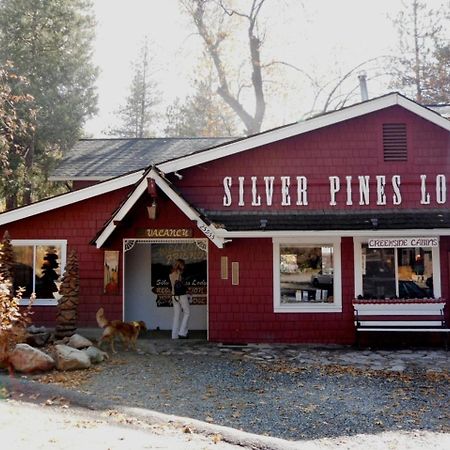 Silver Pines Lodge Idyllwild Zewnętrze zdjęcie